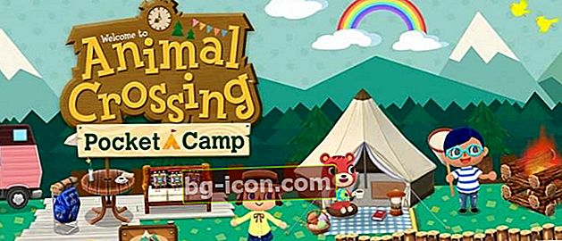 Ladda ner spelet Animal Crossing: Pocket Camp APK, spela omedelbart!