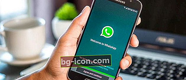 Cómo mover WhatsApp a un nuevo móvil sin perder datos y chatear